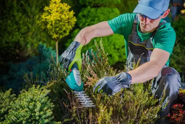 landscaping services Geneva